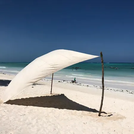 Beachfront Turtle House Zanzibarhouses Kiwengwa  Exterior photo