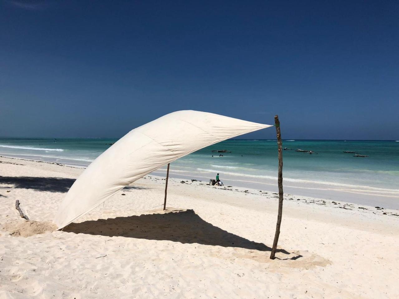 Beachfront Turtle House Zanzibarhouses