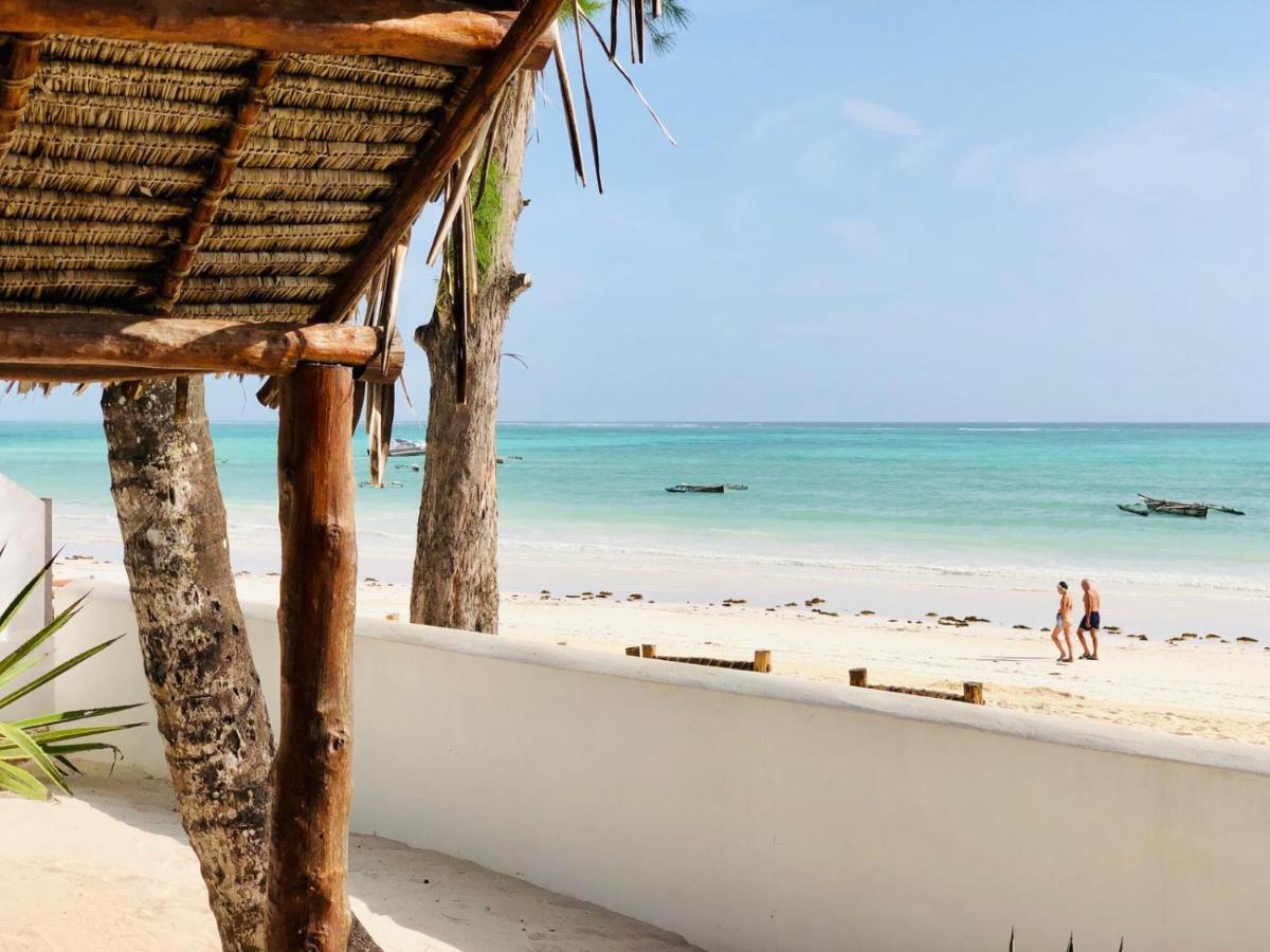 Villa Beachfront Turtle House Zanzibarhouses *