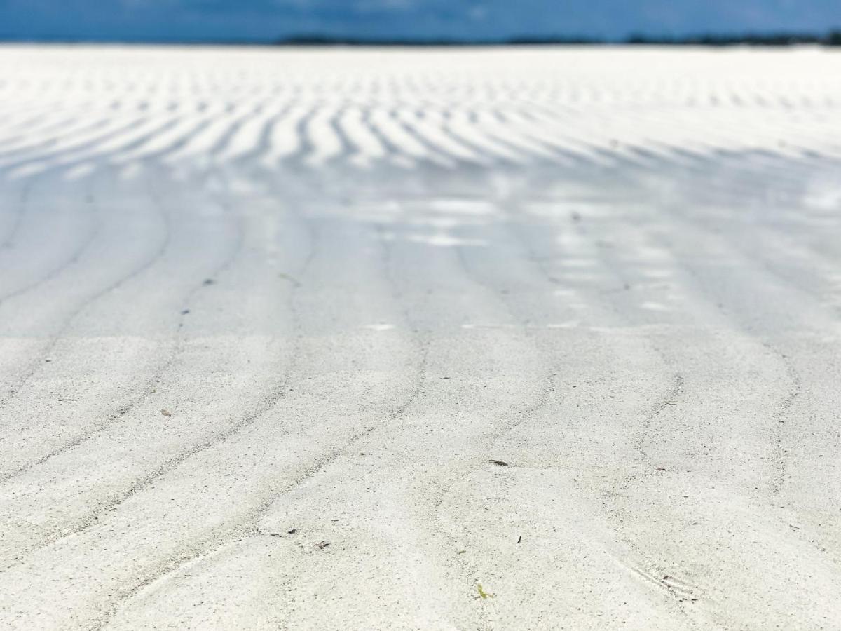 Beachfront Turtle House Zanzibarhouses Villa *