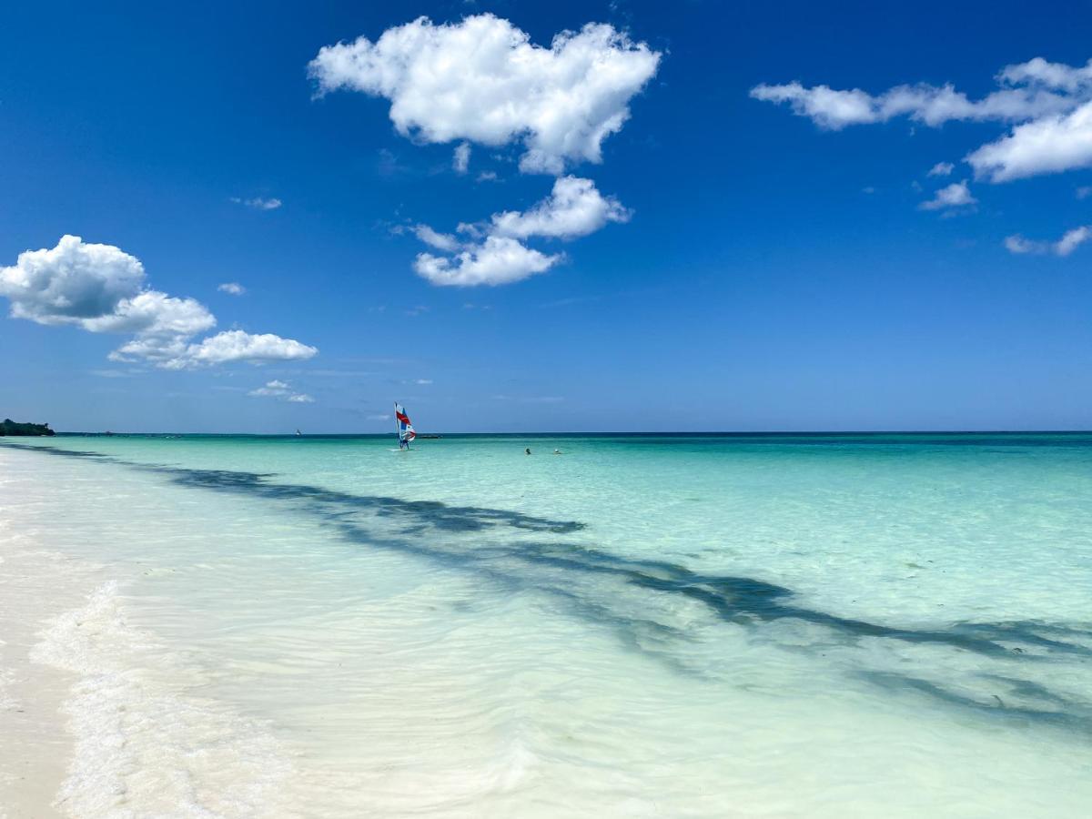 Beachfront Turtle House Zanzibarhouses Villa